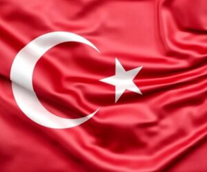 15 Temmuz: Güçlü Türk Halkının Direnişi